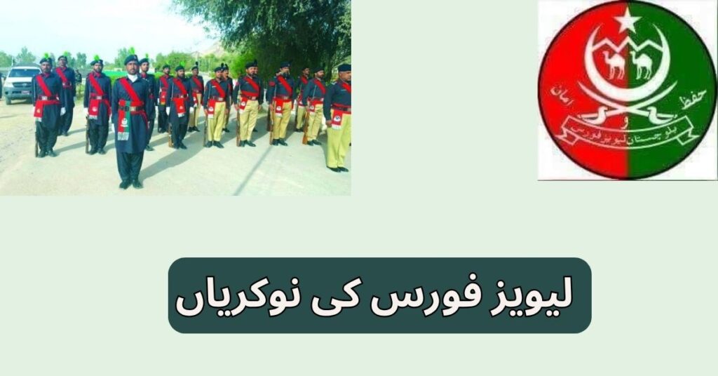 Levies Force Jobs 2025