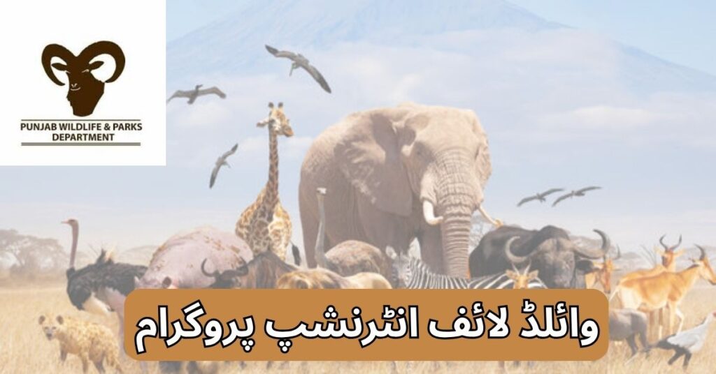 Wildlife Internship Program 2025