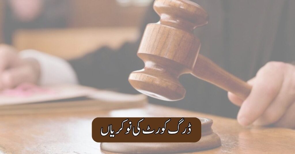 Drug Court Jobs 2025