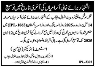 Social Welfare & Bait Ul Maal Jobs 2025