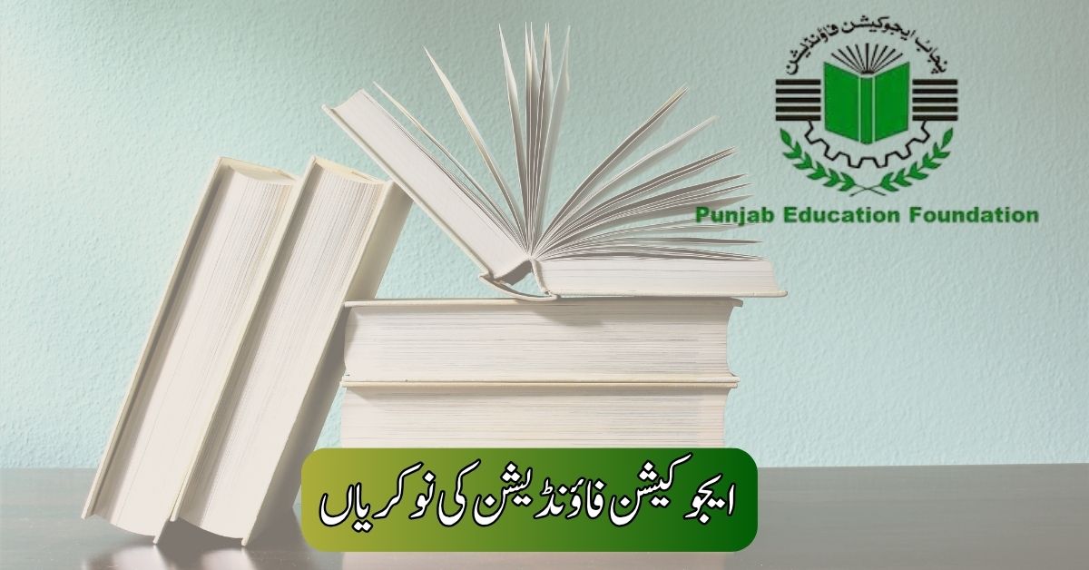 Education Foundation Jobs 2025