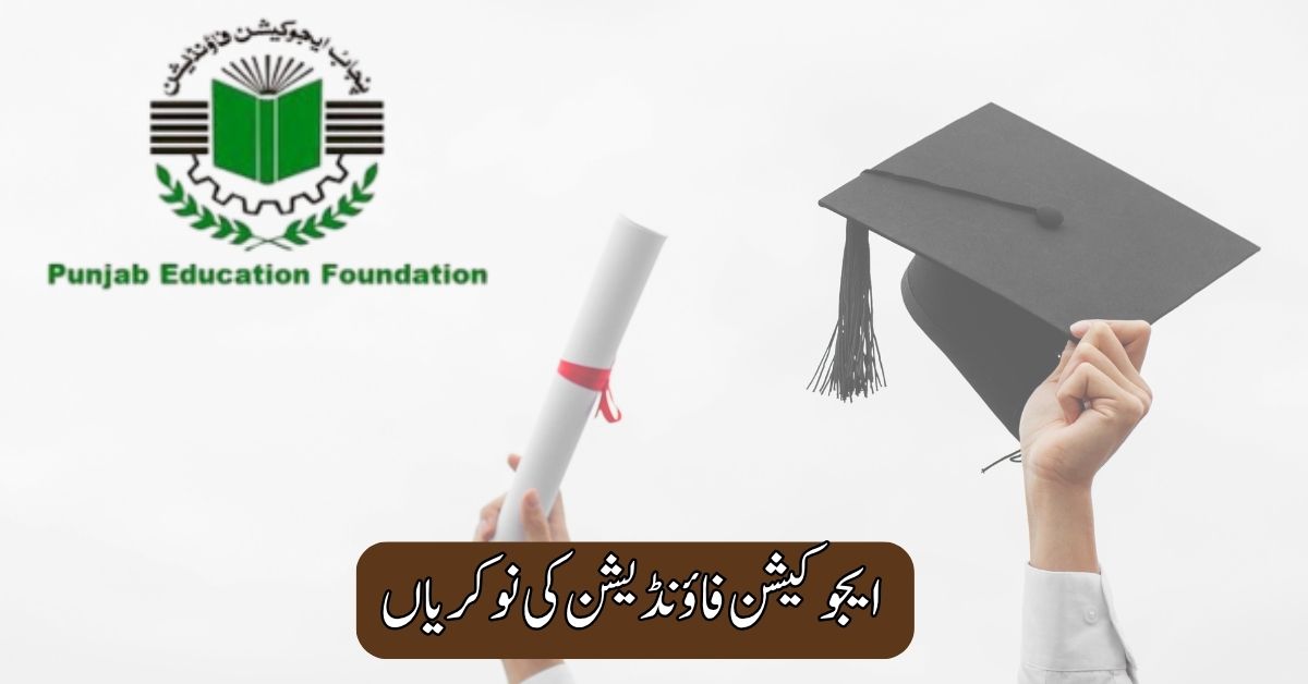 Education Foundation Jobs 2025