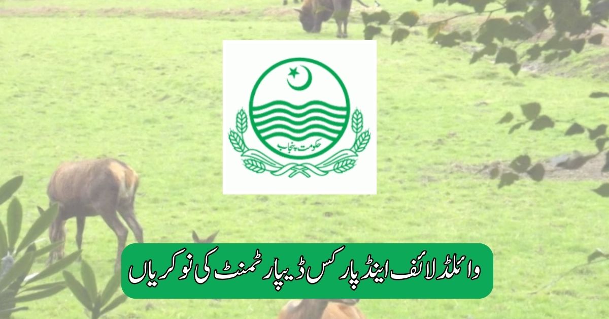 Wildlife & Parks Department Jobs 2025