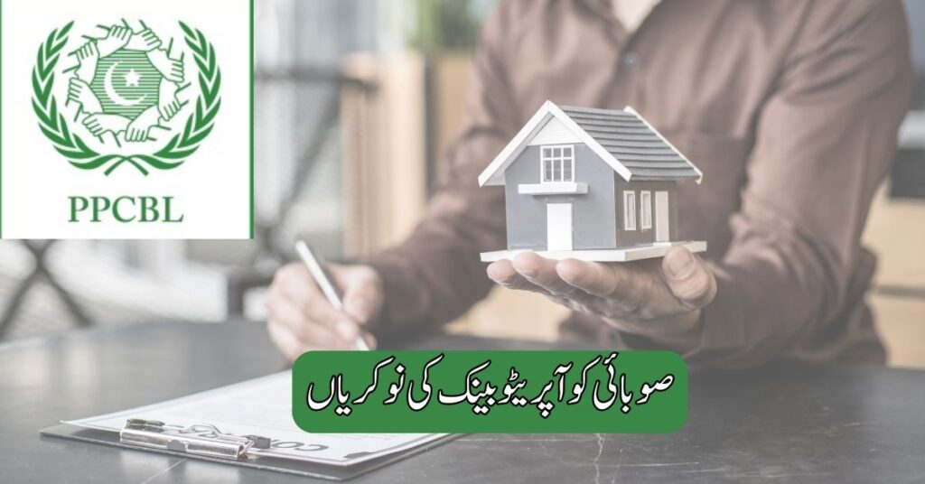 Provincial Cooperative Bank Jobs 2025