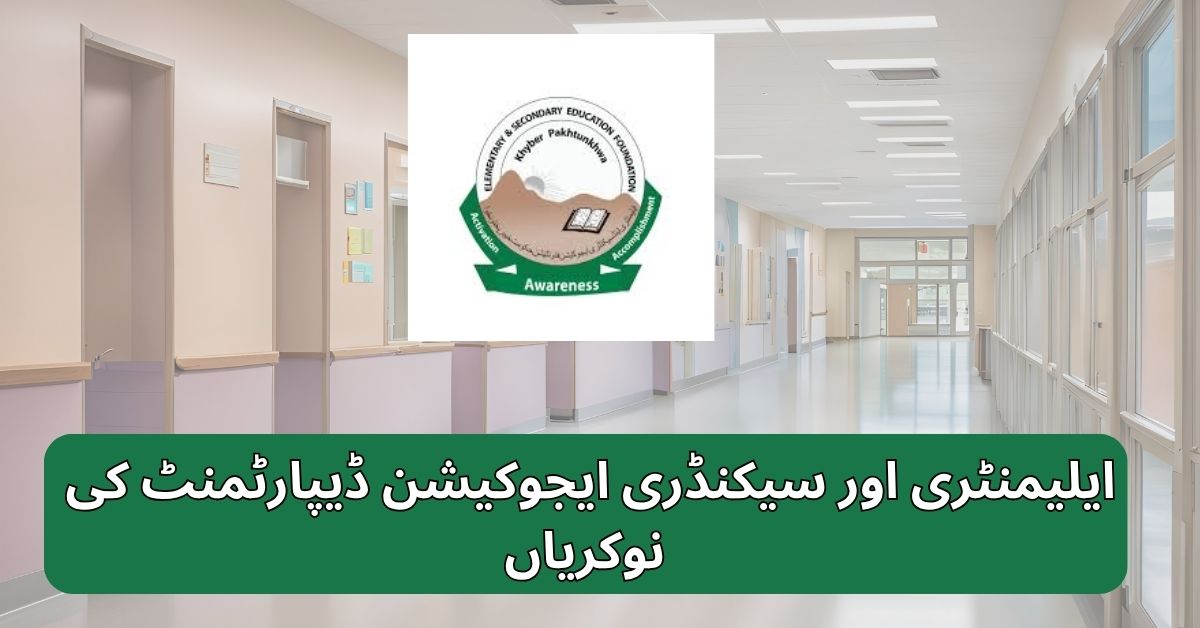 Elementary & Secondary Education Department Jobs 2025