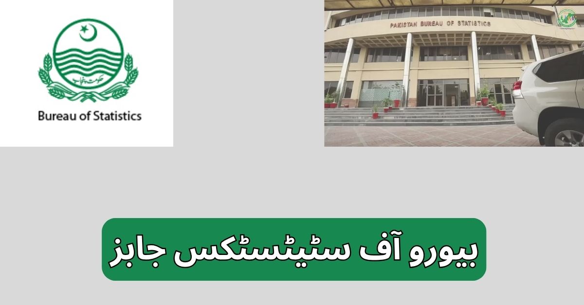 Bureau of Statistics Jobs 2025