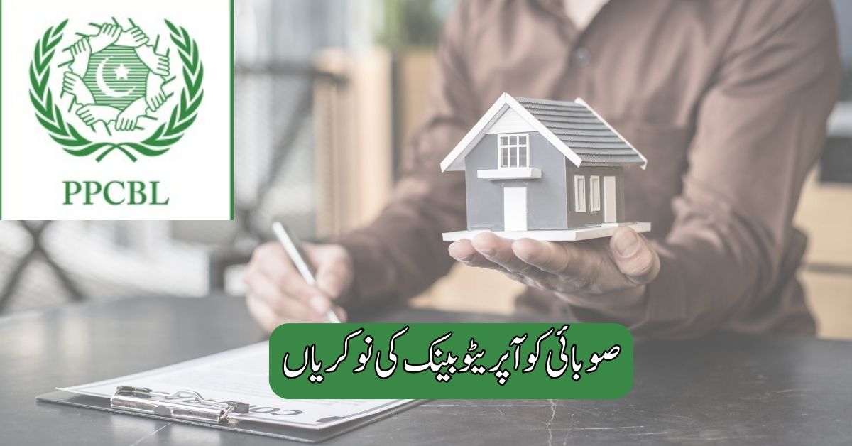 Provincial Cooperative Bank Jobs 2025