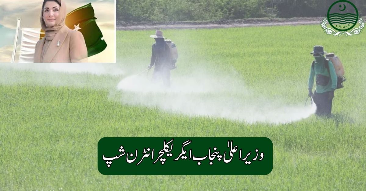 CM Punjab Agriculture Internship 2025