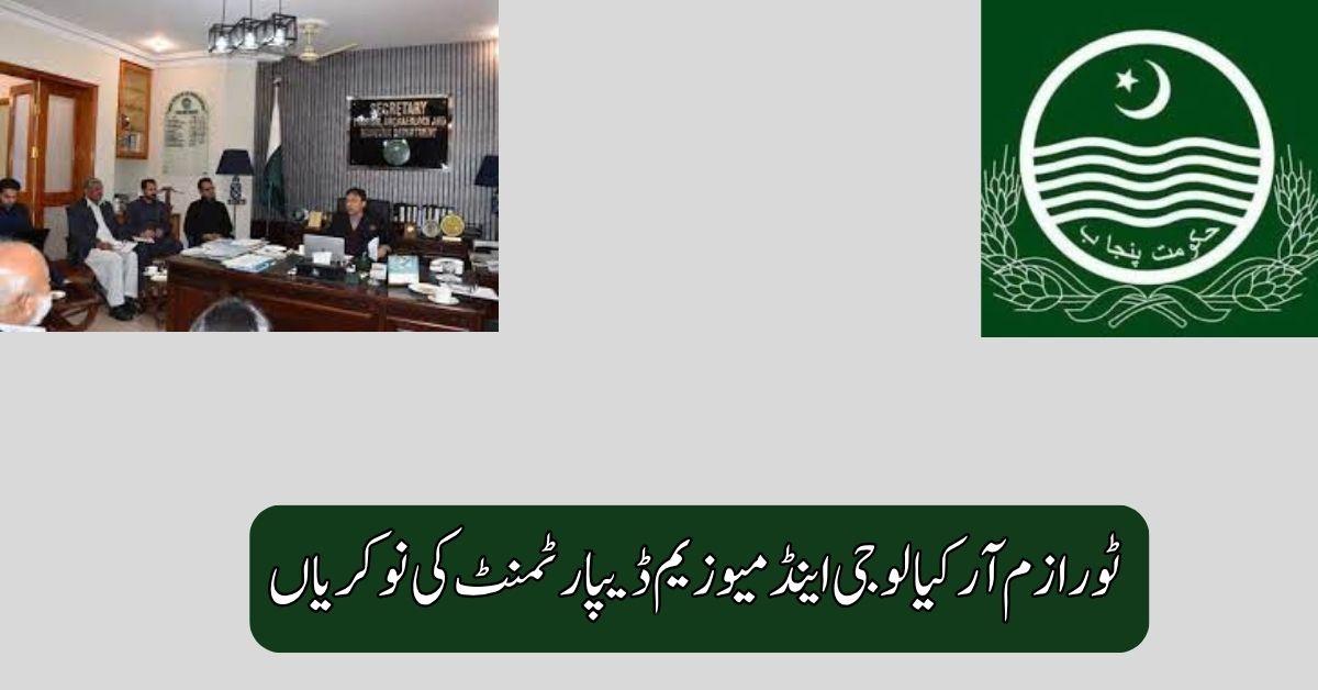 Tourism Archaeology and Museum Department Jobs 2025