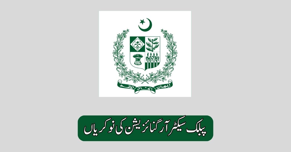 Public Sector Organization Jobs 2025