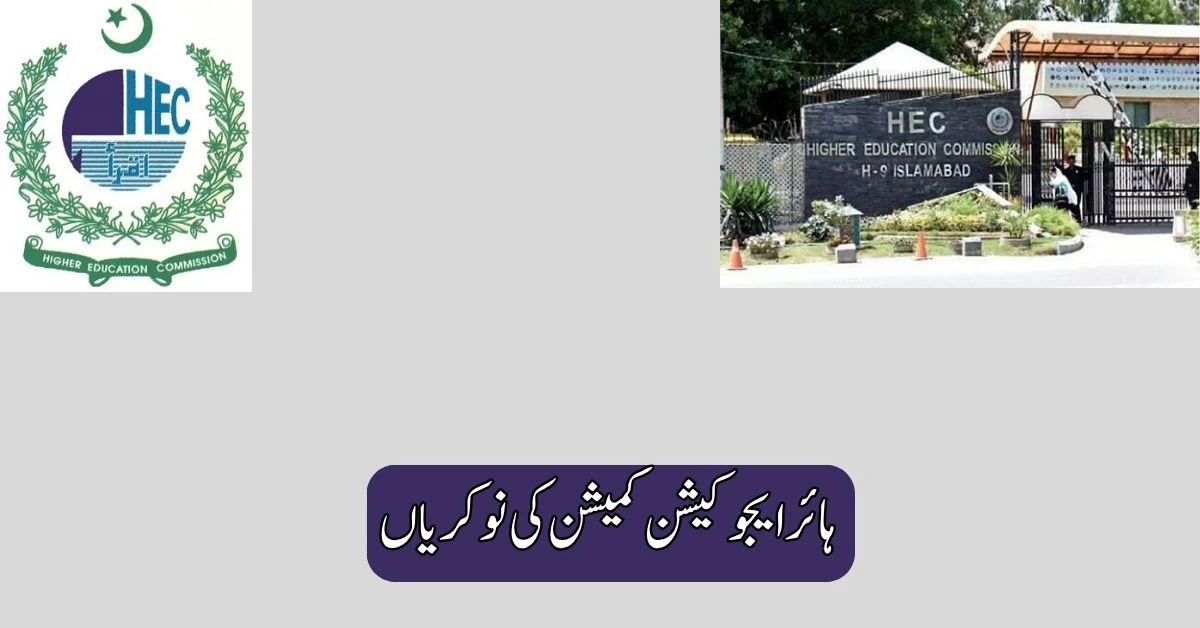 Higher Education Commission Jobs 2025