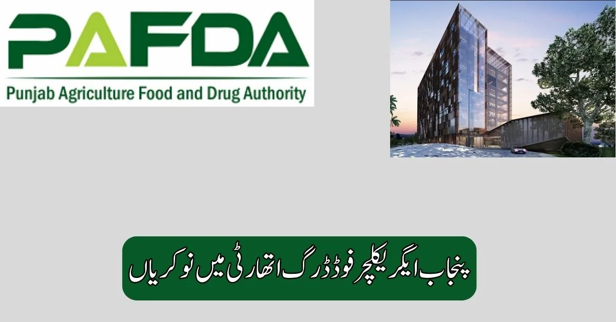Punjab Agriculture Food Drug Authority Jobs 2025
