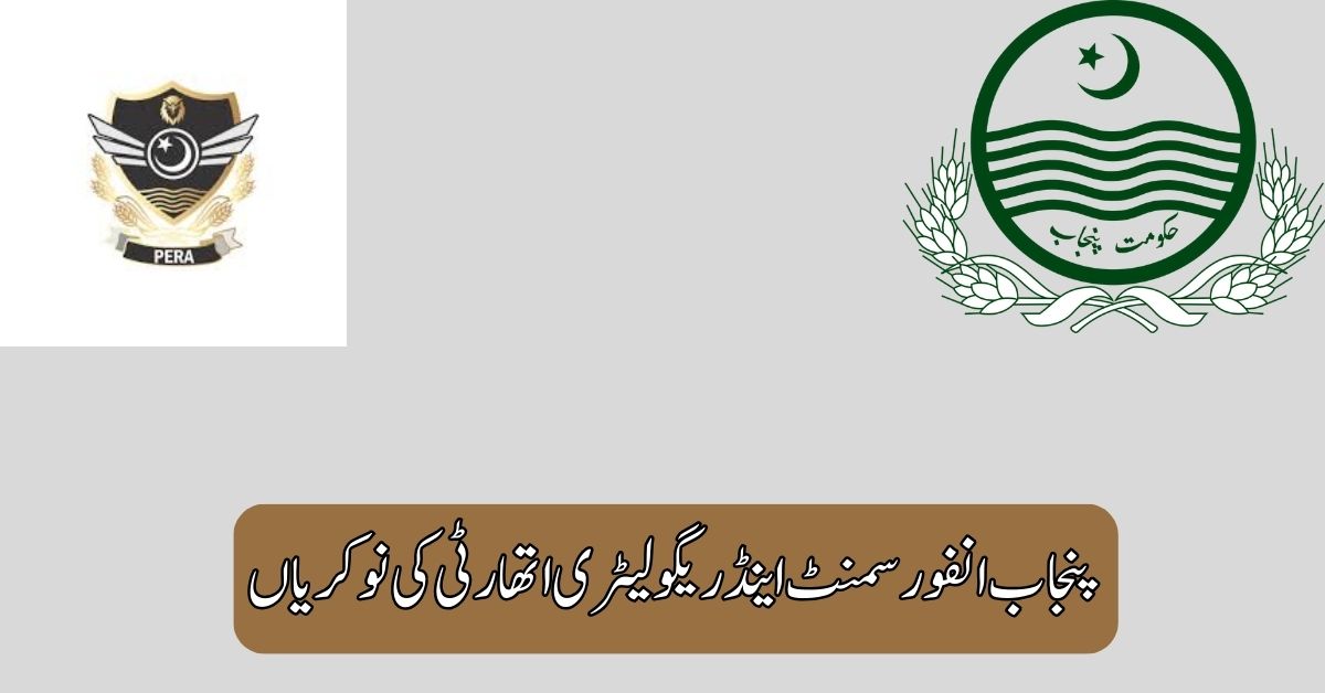Punjab Enforcement & Regulatory Authority Jobs 2025 Punjab Enforcement & Regulatory Authority Jobs 2025