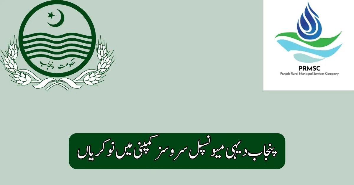 Punjab Rural Municipal Services Company Jobs 2025