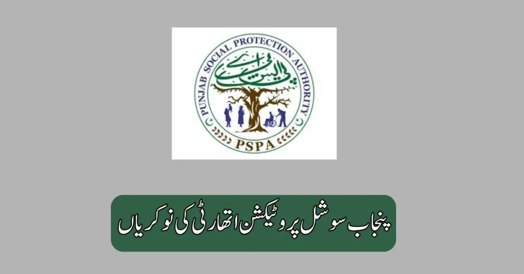 Punjab Social Protection Authority Jobs 2025