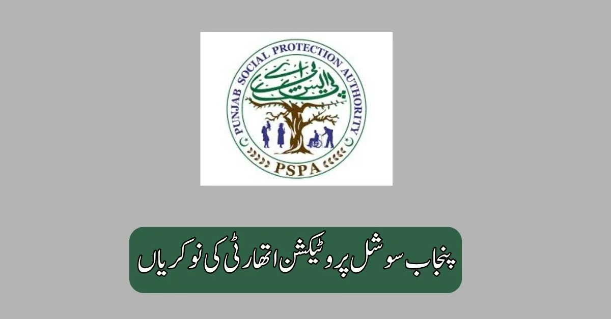 Punjab Social Protection Authority Jobs 2025