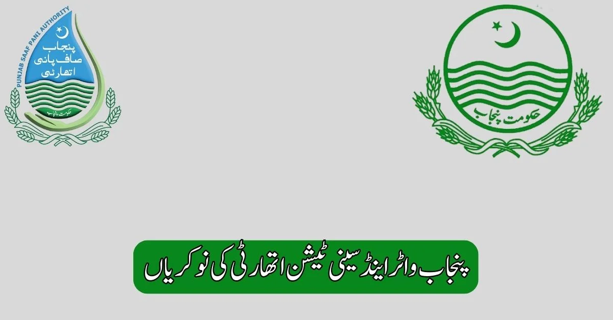 Punjab Water And Sanitation Authority Jobs 2025