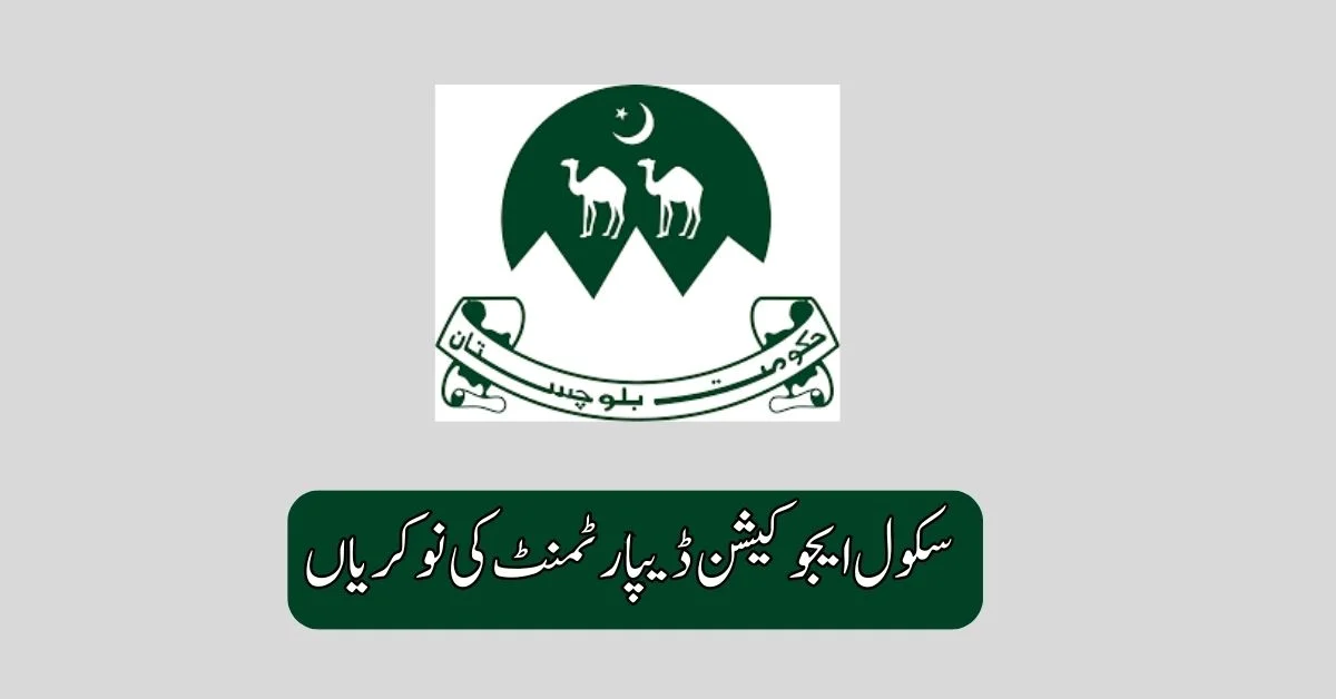 School Education Department Jobs 2025