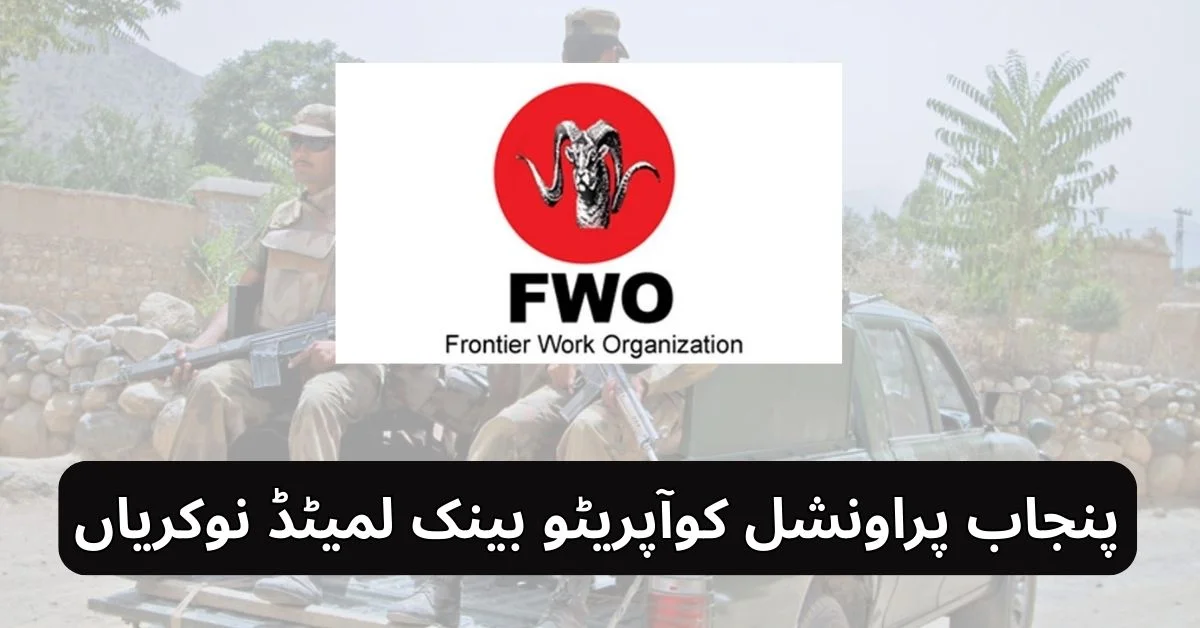 Frontier Works Organization Jobs 2025