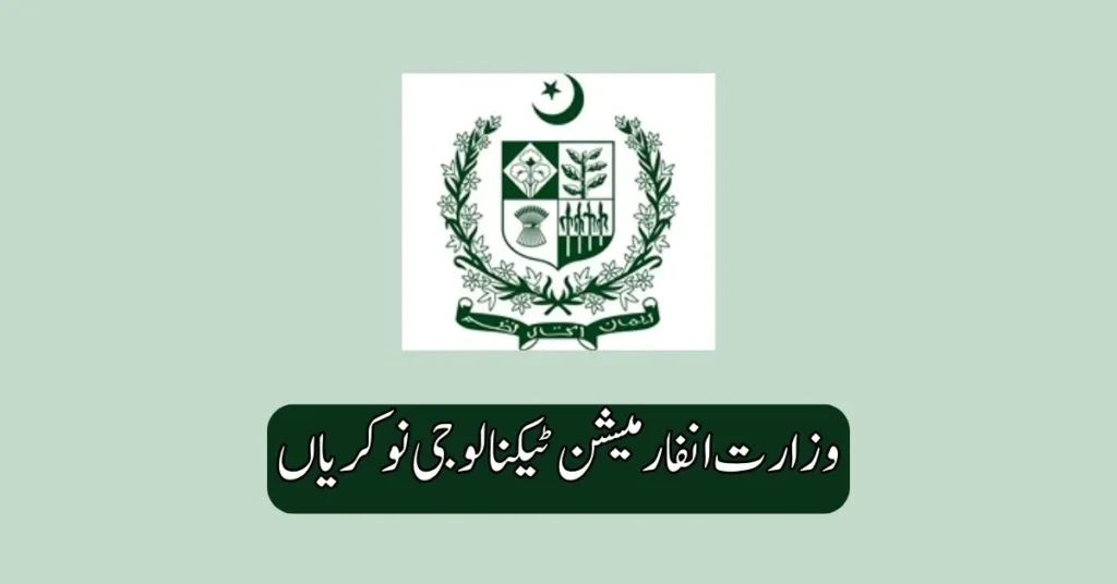 Ministry of Information Technology Jobs 2025
