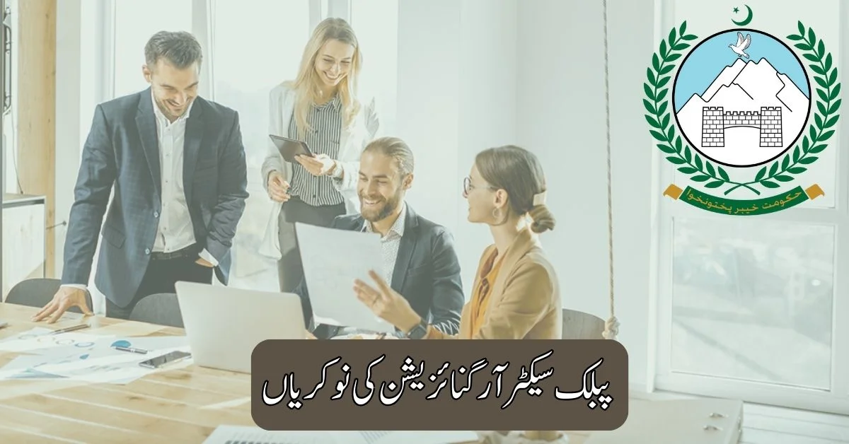 Public Sector Organization Jobs 2025