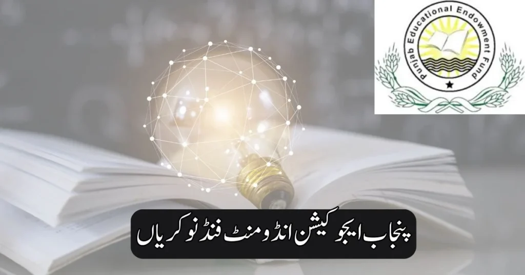 Punjab Education Endowment Fund Jobs 2025