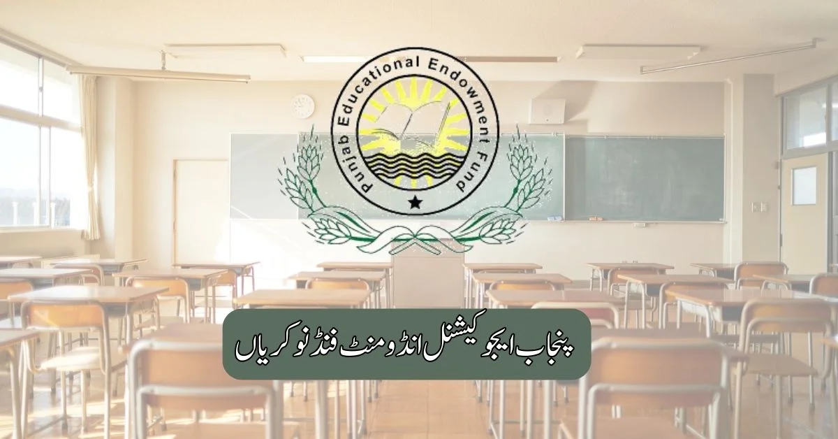 Punjab Educational Endowment Fund Jobs 2025