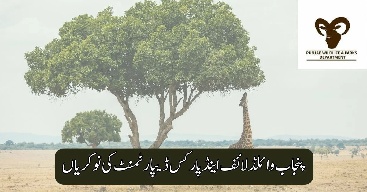 Punjab Wildlife & Parks Department Jobs 2025
