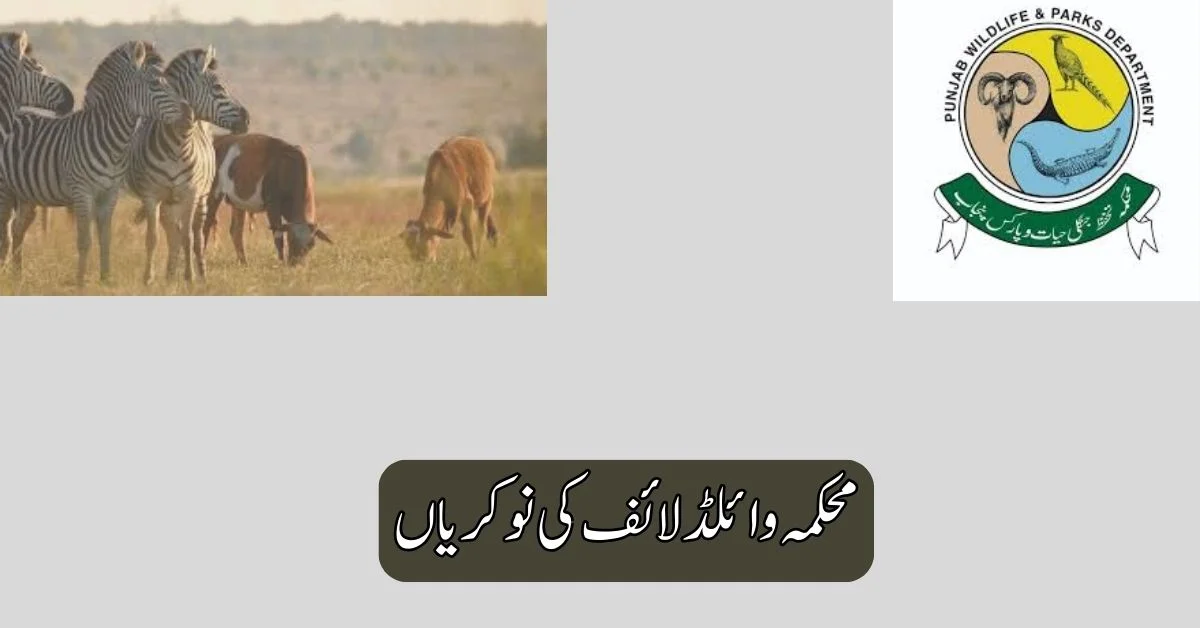 Wildlife Department Jobs 2025