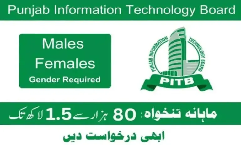 PITB Jobs 2025