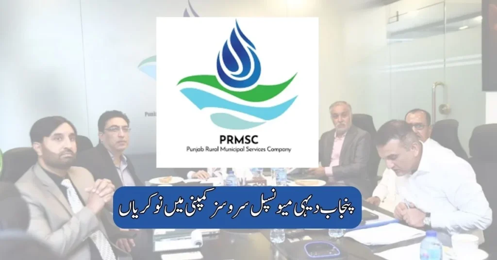 Punjab Rural Municipal Services Company Jobs 2025