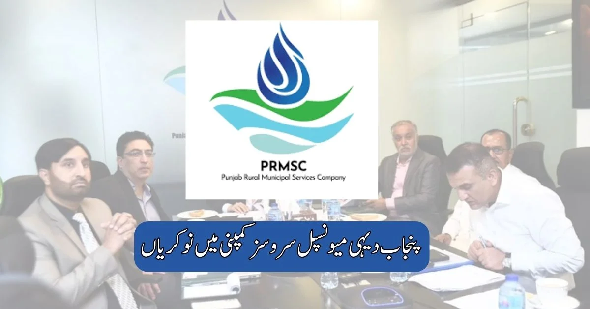 Punjab Rural Municipal Services Company Jobs 2025